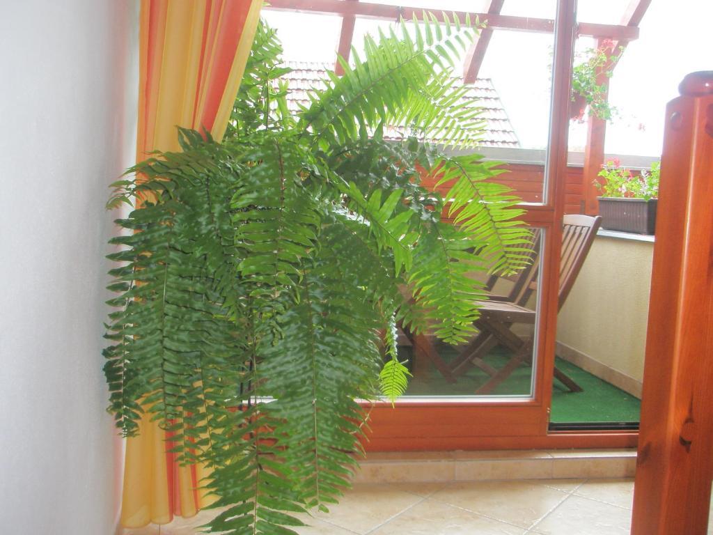 Villa Elena Smižany Quarto foto